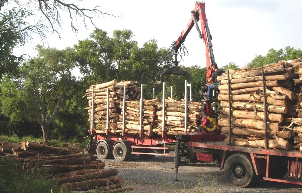 Suspicion d'arnaque au bois de chauffage : Lamaisondubois-energie