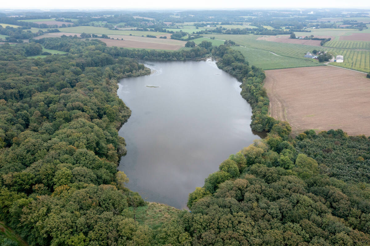 Constructions en zone Natura 2000 : contraintes et solutions