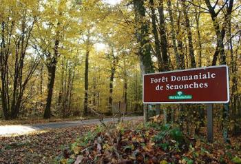 Projets autour des forêts du Perche : exemple d’aménagements écoresponsables